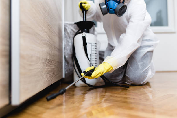 Best Ant Control Services  in Swede Heaven, WA