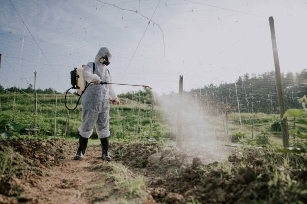 Professional Pest Control in Swede Heaven, WA