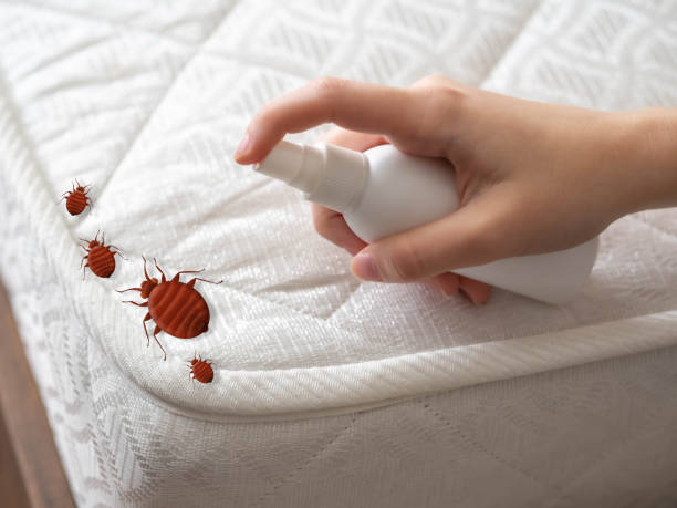 Best Local Pest Control Services  in Swede Heaven, WA