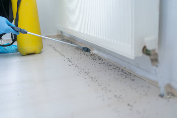 Best Mosquito Control Services  in Swede Heaven, WA